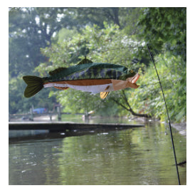 SWIMMING FISH - BASS