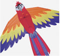 Macaw Kite